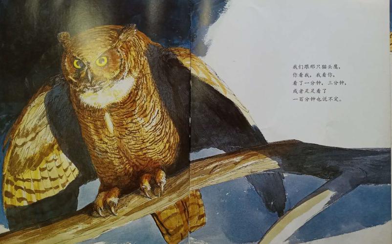阿墨和半仙的方舟视频