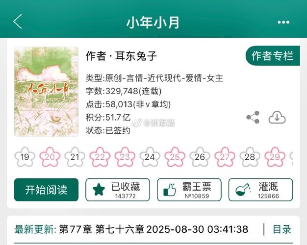 小年小月txt网盘