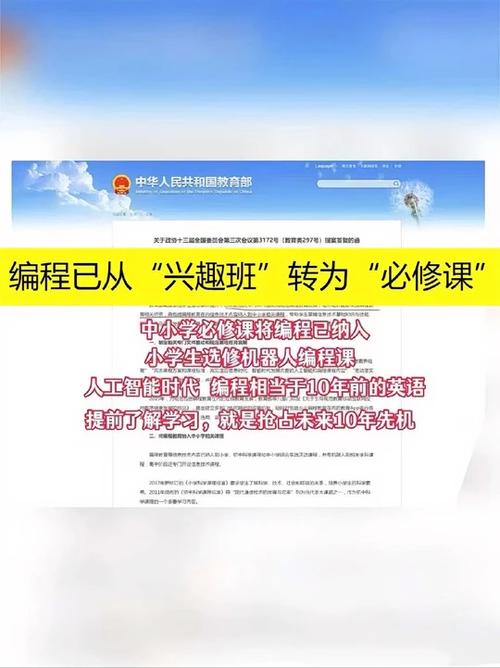 小学编程6大害处