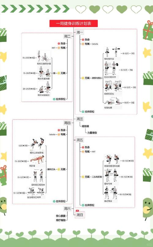 增肌cycle计划