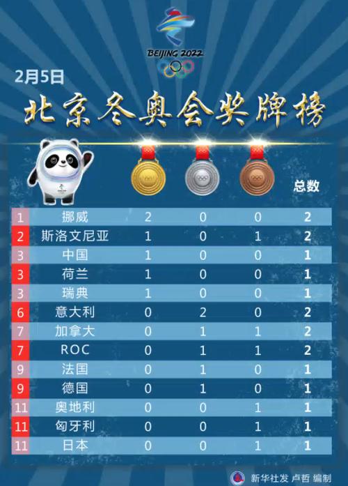 冬奥会 金牌榜