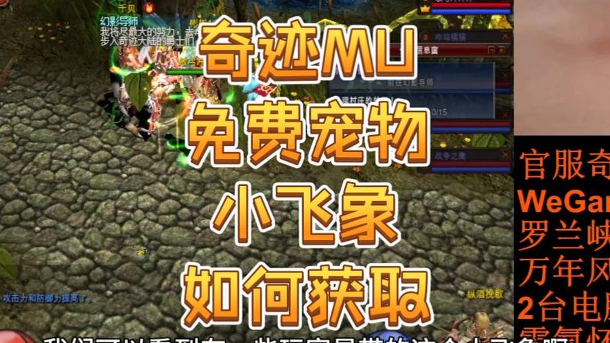 奇迹mu宠物能交易吗