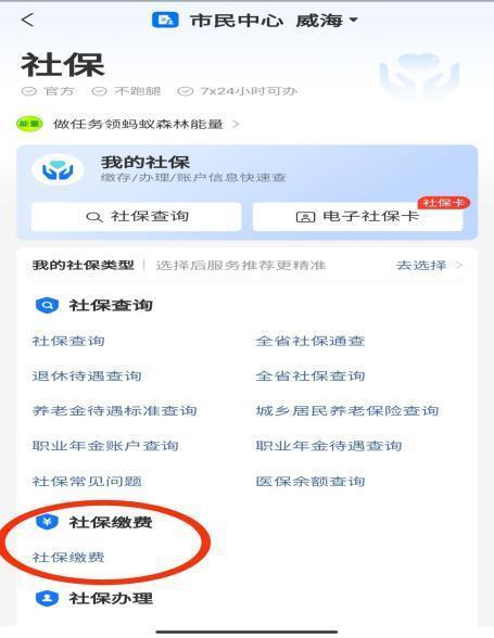 山东税务社保费缴纳小程序