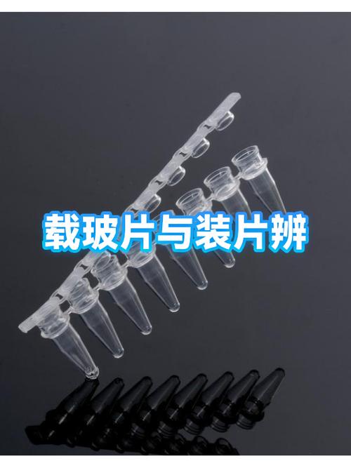 玻片和装片的区别