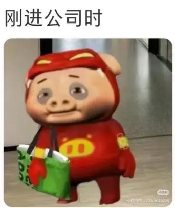 猪猪侠比喻什么人
