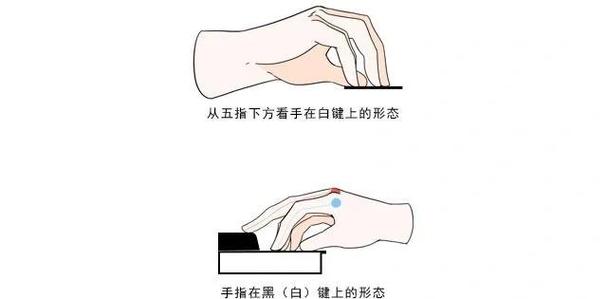钢琴基础知识入门教程