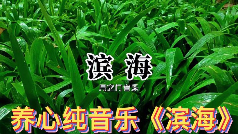 月之门滨海音乐