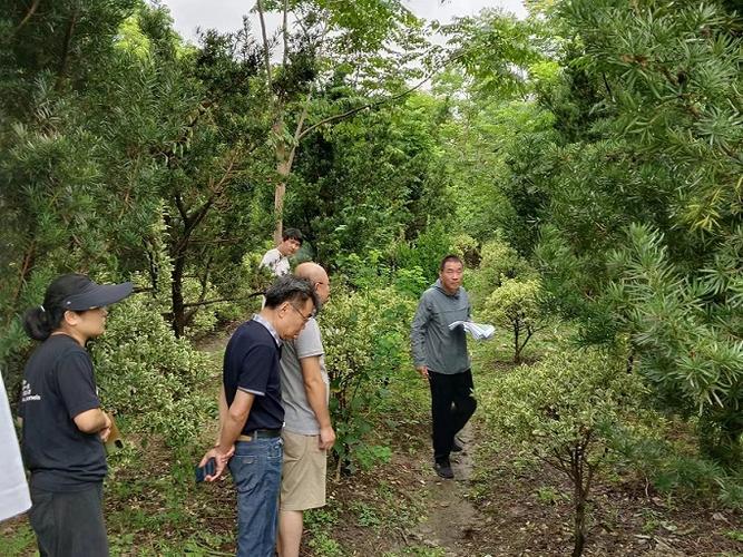 破坏林地面积立案标准