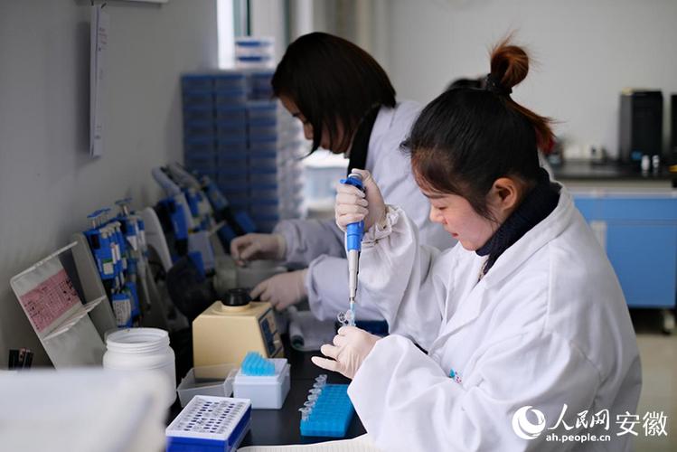 实验室方法验证怎么做
