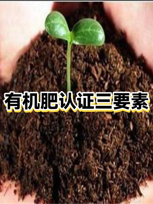 实名认证三要素是什么