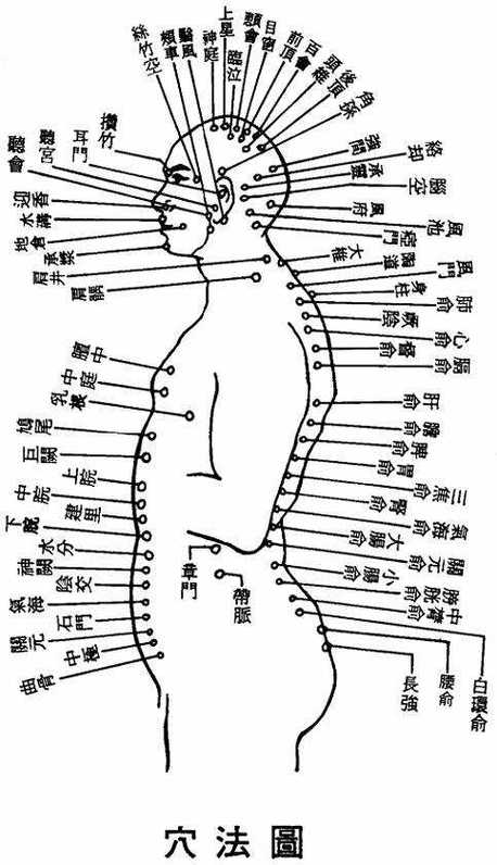 中医一寸二寸三寸图解