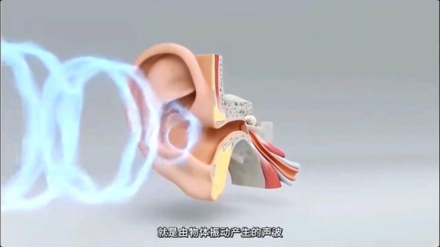 耳朵听到高频声刺耳