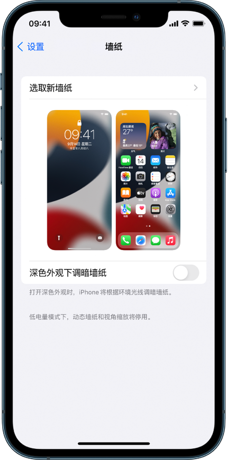 苹果ios14解锁后直接主屏幕缩略图