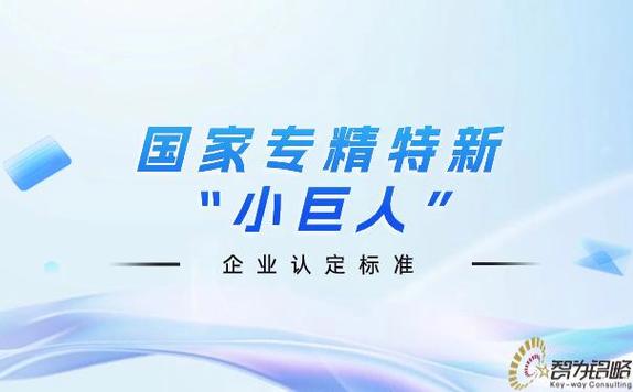 国家级小巨人企业认定标准截图