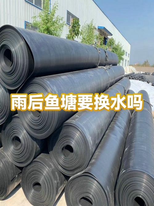 一旦发现了死鱼水要换了吗