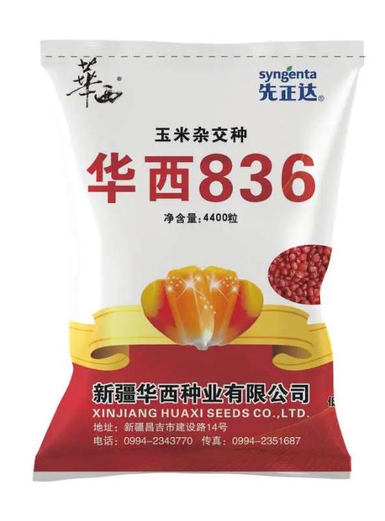 华西836玉米品种介绍