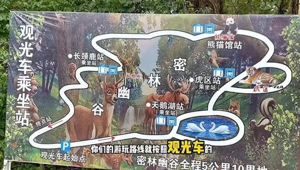森林无限体力