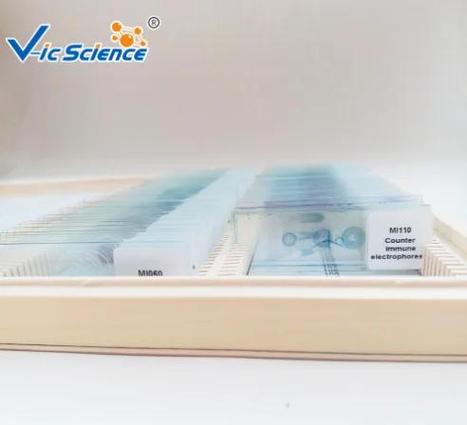 装片是什么意思