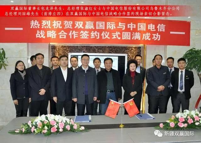 双赢集团旗下公司名单