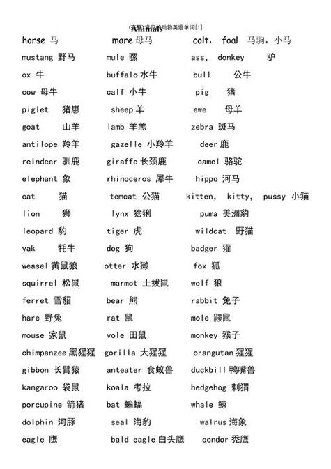 随机100个英语单词截图