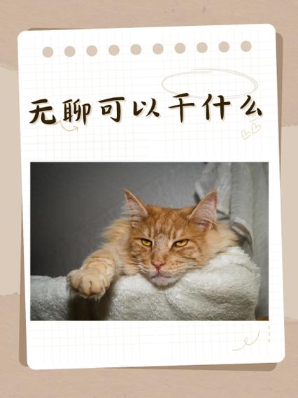 孕妇在家无聊可以做什么工作赚钱