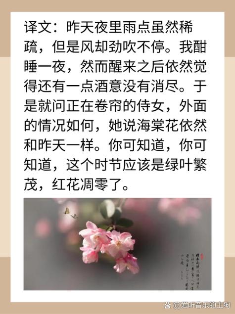怎么夸人家花园美