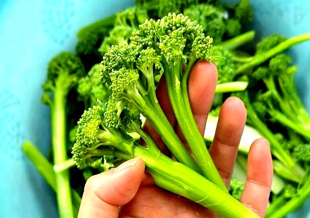 低热量的蔬菜