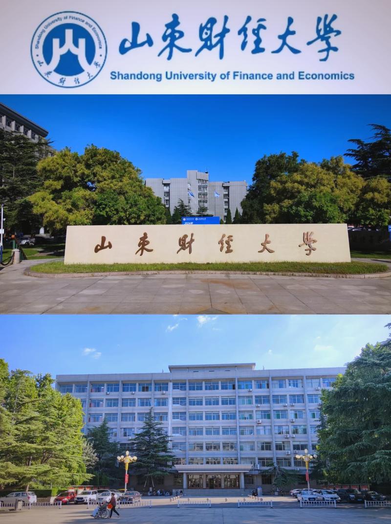 山东财政缴费