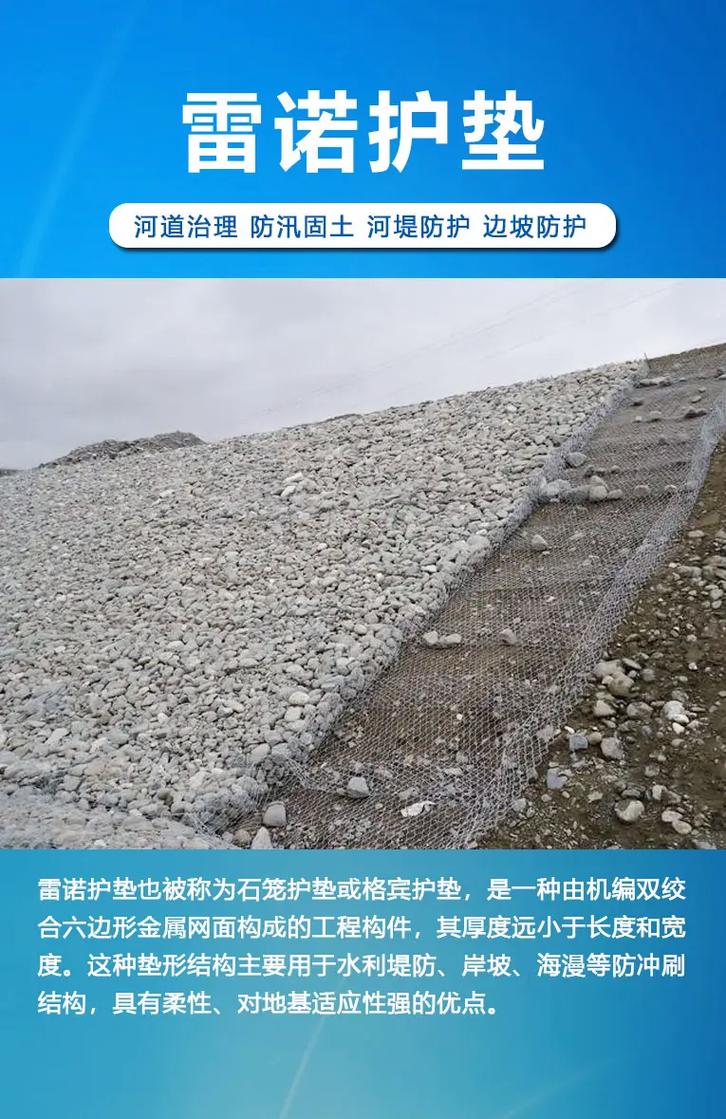 雷诺防护改到多少合适截图
