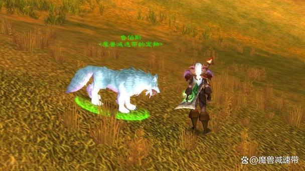 魔兽世界猎人必抓宝宝