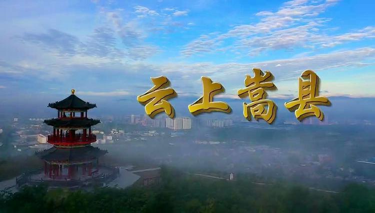 云上嵩县客户端