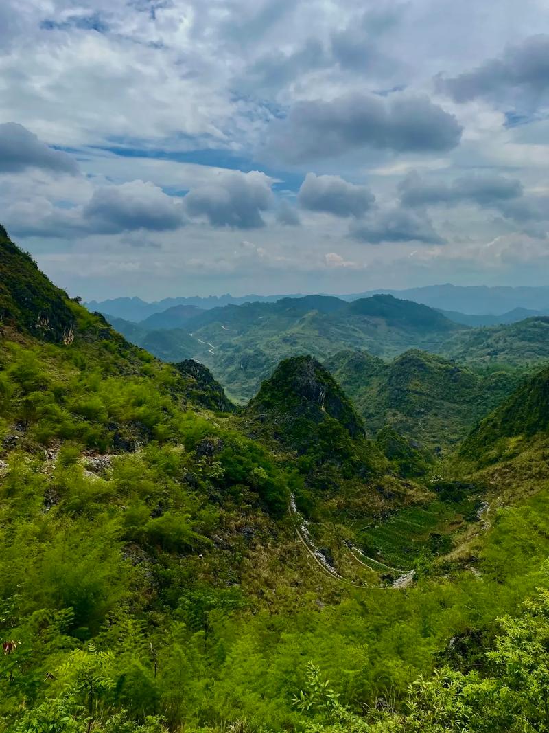苟在深山囤货记