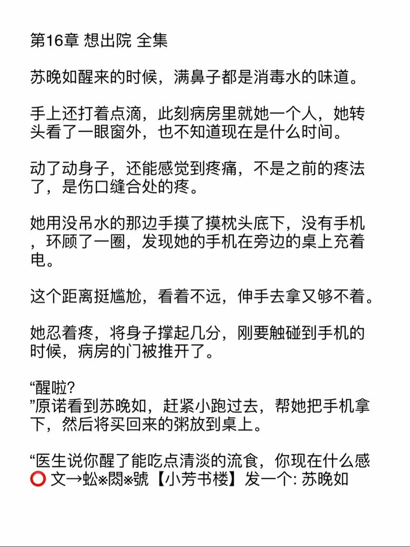 你真野宝贝小说苏晚截图