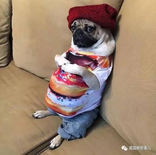肚子圆鼓鼓的表情包