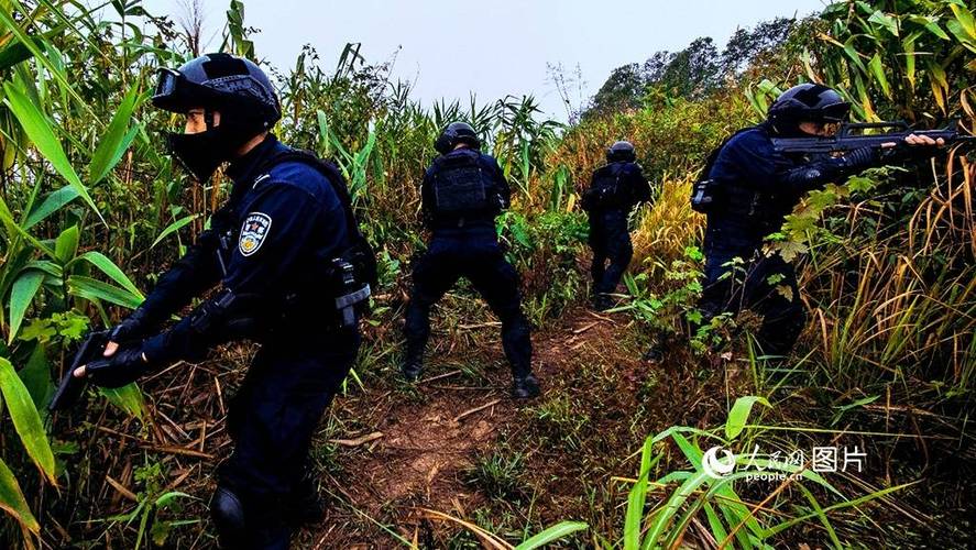 重生武警边防缉毒警