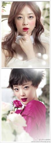 转花手的韩国女星是谁