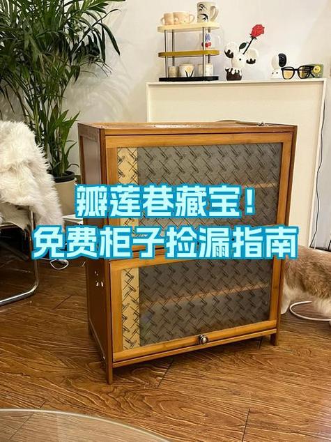 藏宝捡漏