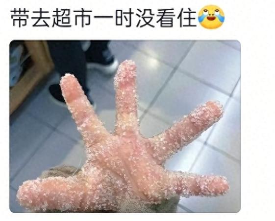 人类幼崽为什么这么弱