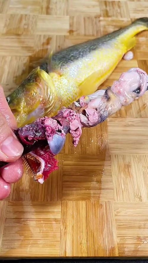 1一2厘米小鱼怎么处理内脏