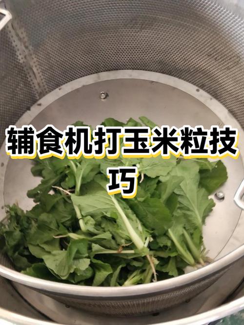 玉米粒可以和什么一起打