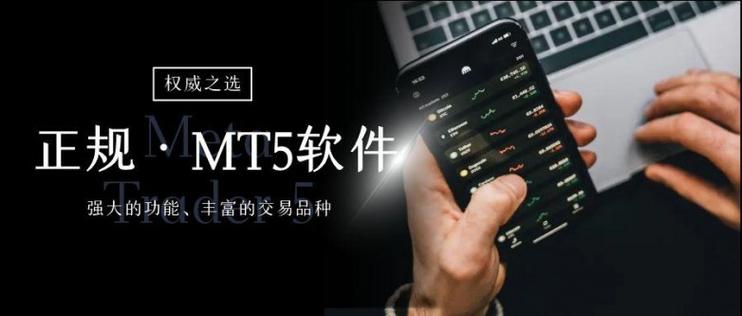 MT5官方正版官网缩略图
