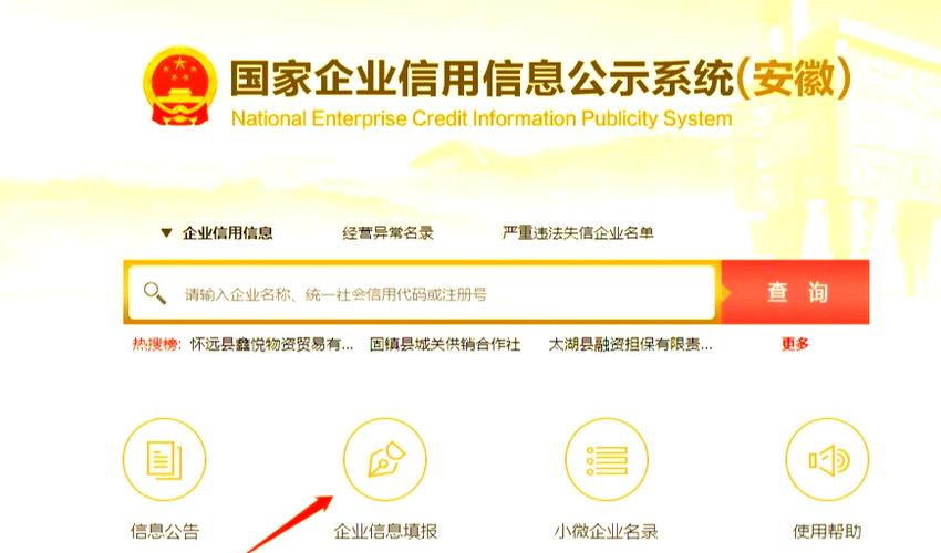 国家企业信用公示信息年报