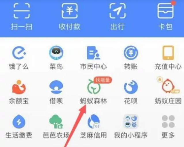 蚂蚁森林里的好友怎么删除