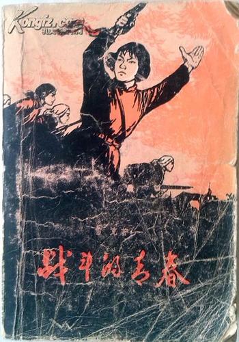 战斗的青春全文阅读