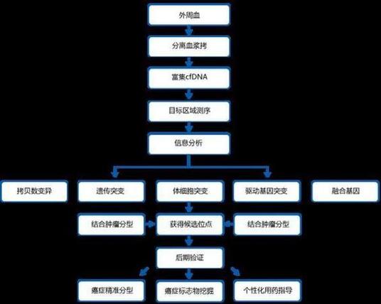 父子最简单的亲子鉴定方法