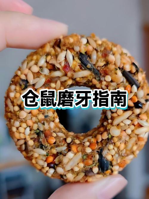 仓鼠被冻死一晚上还能救活吗图标