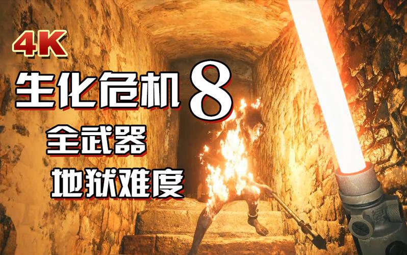 生化危机8无限弹药秘籍缩略图