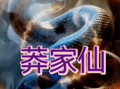 莽仙大陆截图