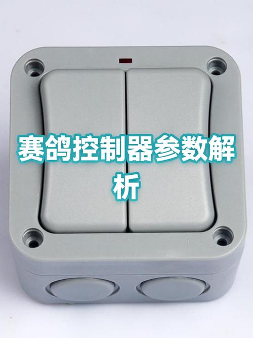 赛鸽电动车可以调速吗