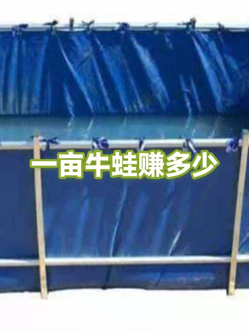 养牛蛙一亩能赚多少钱